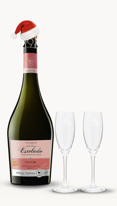 SANTA DIGNA ESTELADO Sparkling Rose with 2 glass Dressed in Santa's Hat Save 33%