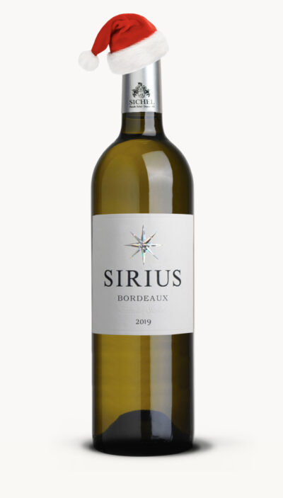 SIRIUS BORDEAUX Save 30% Dressed in Santa's Hat